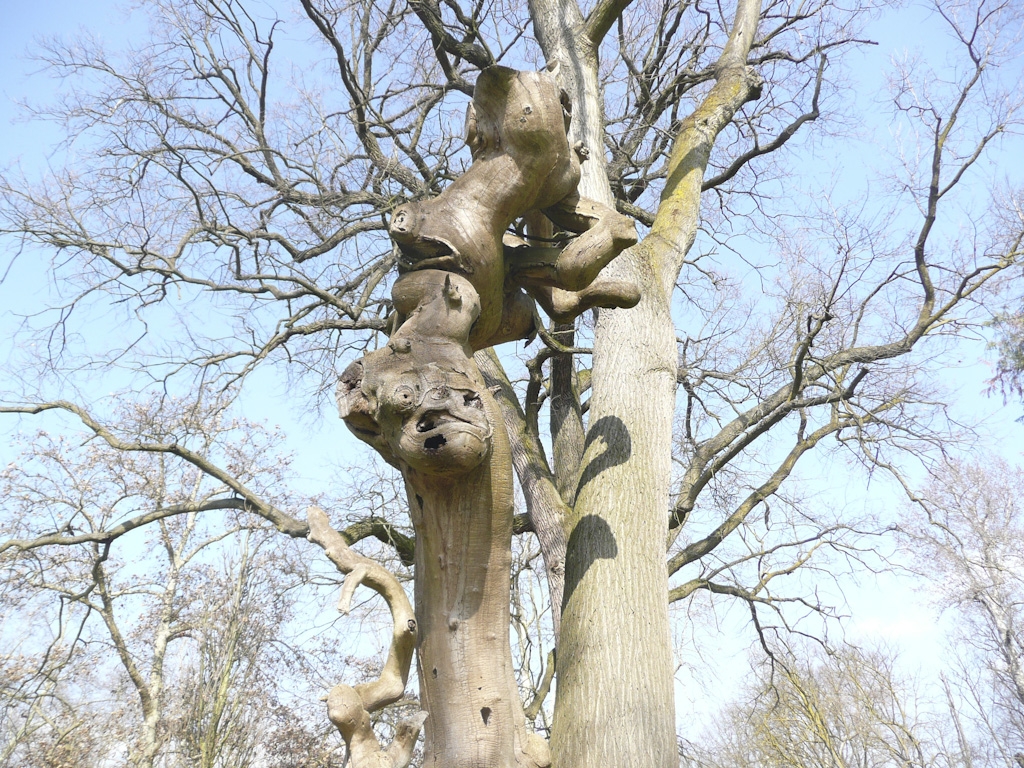 MINERBIO S.Martino in soverzano